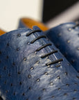 Antonio - Blue Ostrich Oxford Shoe. Upper: Exquisite blue ostrich leather. Lining: Natural calf leather. Sole: Smooth hand-finished leather sole by Presot. Matching belt also available.- Sartoria Dei Duchi - Atri