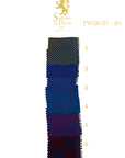Color swatch with a patterned tie and measurement scale, featuring the Sartoria Dei Duchi - Atri brand.