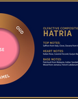 Diagram of olfactory composition for a fragrance named 'HATRIA' with layers labeled Saffron, Oud, Rose, and Caramel on a blue background.- Dei Duchi