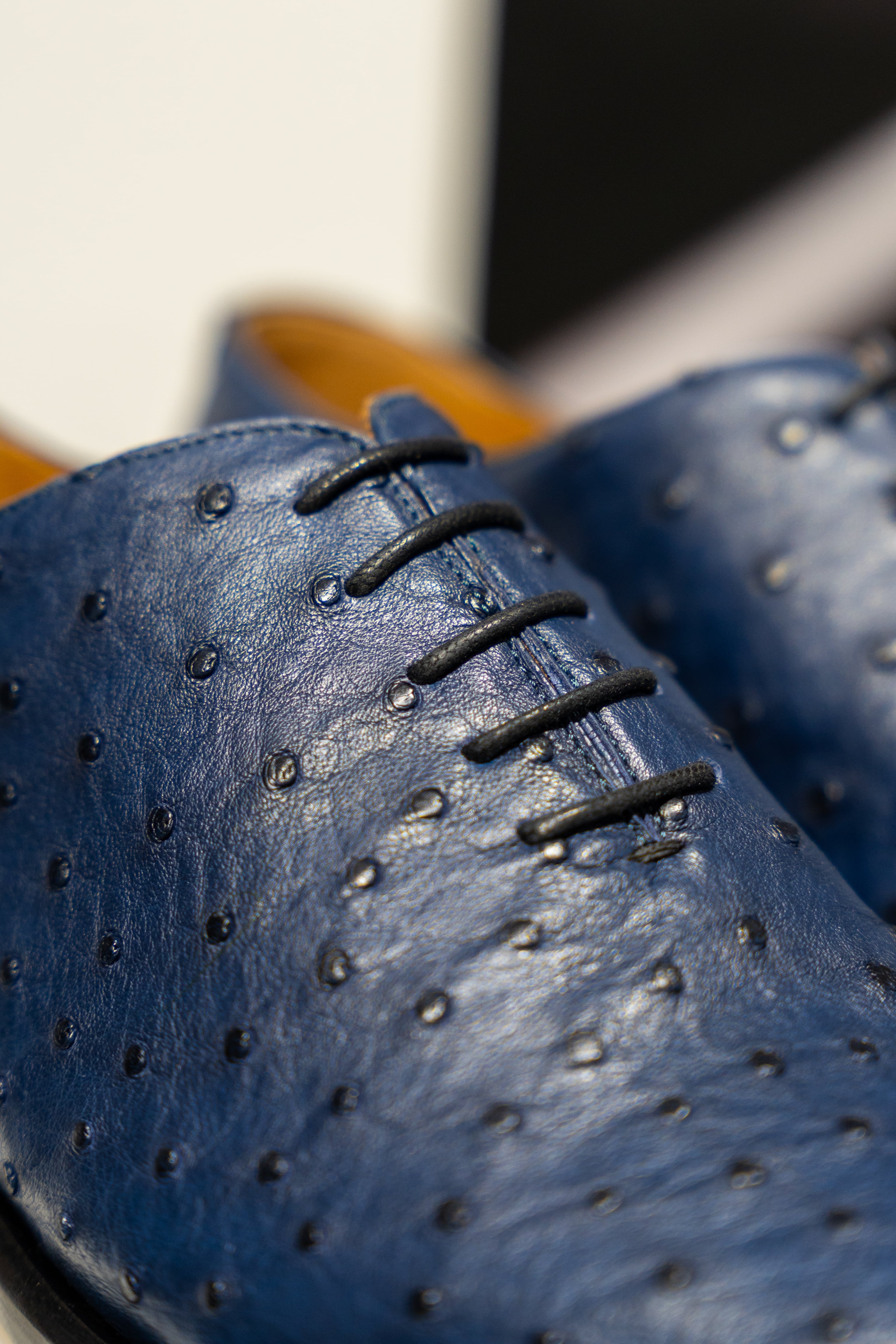 Pair of blue dress shoes on a white platform. - Sartoria Dei Duchi-Atri